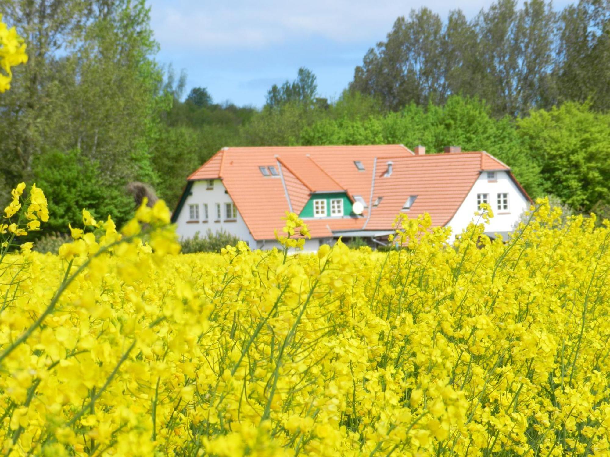 Landhaus Alt Reddevitz Middelhagen Buitenkant foto
